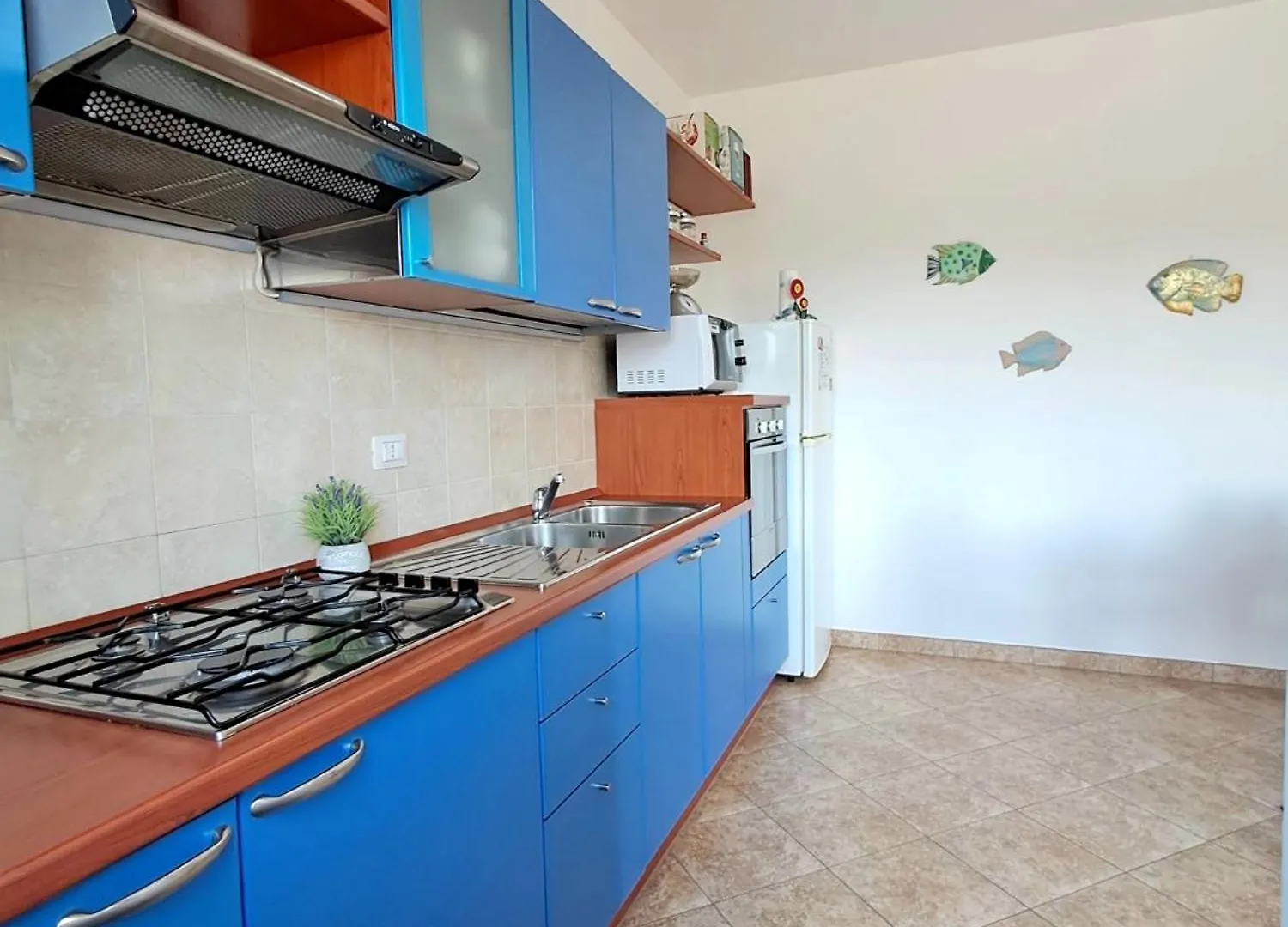 Coral Alguerhouse Apartment Italy